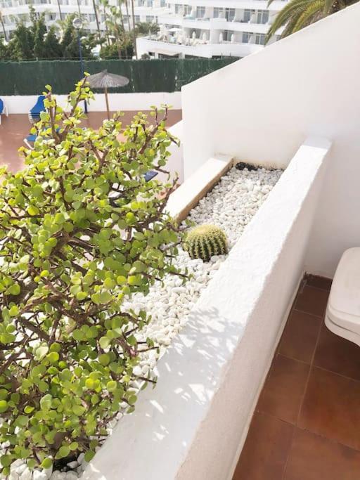 Apartamento Lucia Garden City Con Piscina Climatizada Playa Feñabe Exterior foto